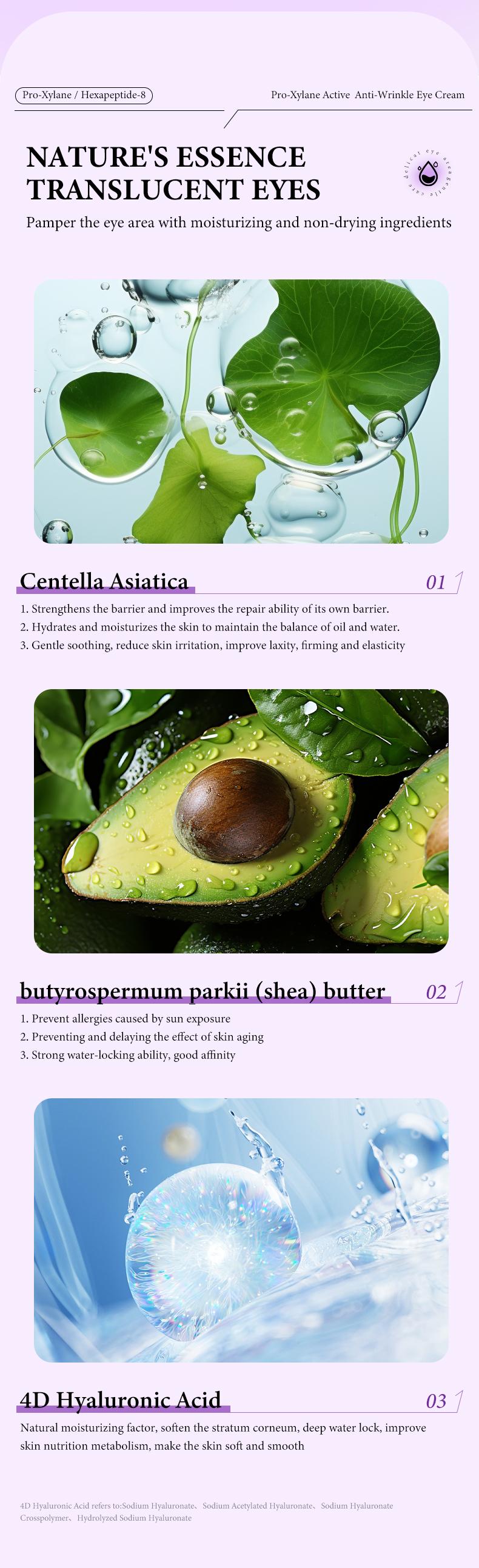 Pro-Xylane Anti-Aging Eye Cream | Hydrating Moisturizer with Peptide | Visibly Reduces Wrinkles, Dark Circles & Puffiness | 24H Lift, Firm & Youthful Radiance