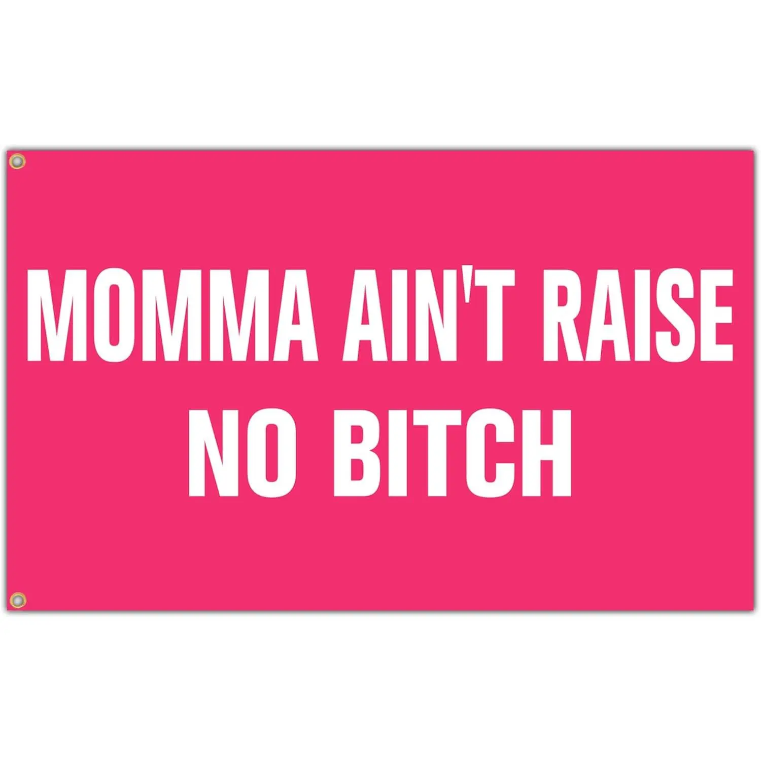 Momma Ain't Raise No Bitch Flag Pink Tapestry Funny Flags for Room  Bedroom College Dorm Meme Flags Man Cave Wall Art Decorations Banner Gifts