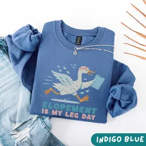 Silly Goose Elopement ABA Therapy Sweatshirt / Short Sleeve T-SHIRT  ,  ABA for BcBa Rbt Special Education Teacher Autism Mom shirt Unisex Casual