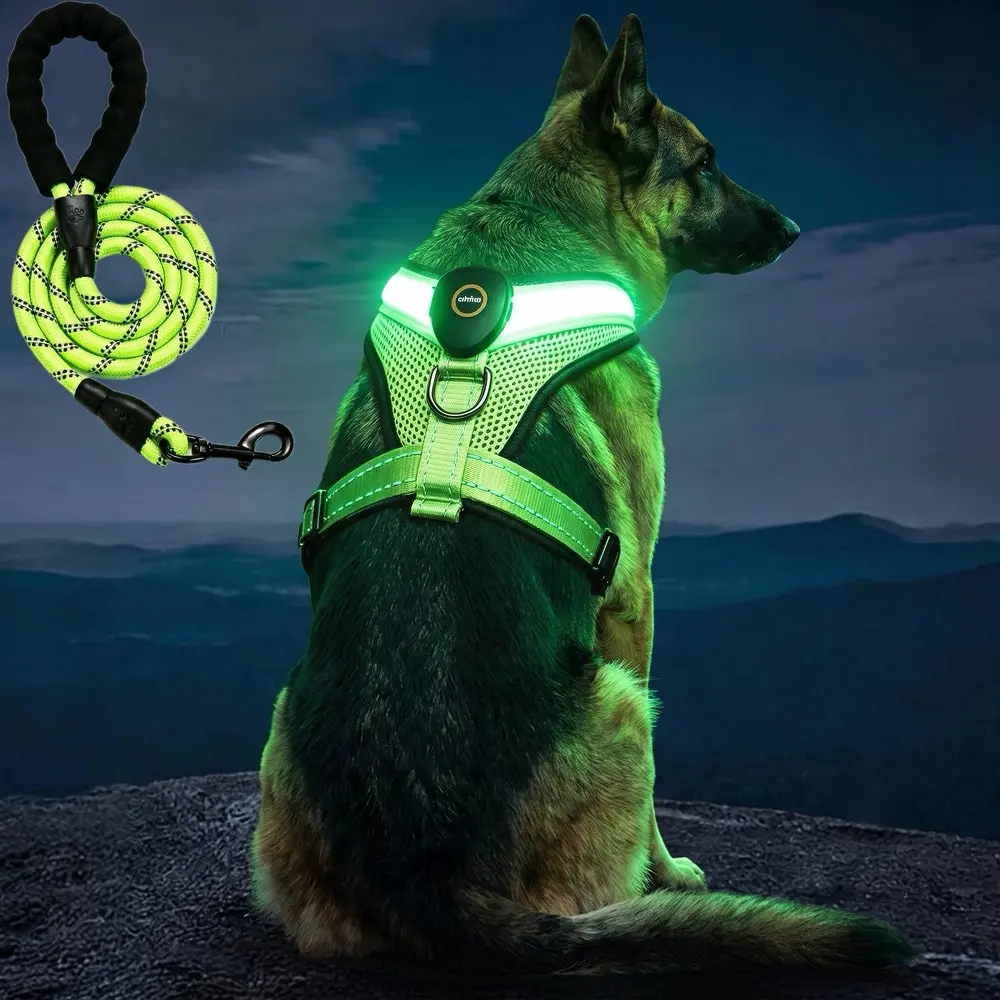 Light Up Dog Harness, No Pull LED Dog Harness , Rechargeable Lighted Safety Vest for Small Medium Large Dogs, Adjustable Soft Dog Lights for Night Walking Send traction rope perfect fit collar secure buckle petproducts
