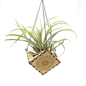 Hemicube Free Hanging Planter / Air Plant Holder - Unique Plant Hanger // Handmade Wood Home Decor Display Plant Lover Gift Idea Living Art