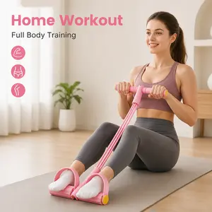 All-in-One Home Workout Resistance Band for At-Home Full-Body Training Waist Twist and Core Ab Exercise Machine