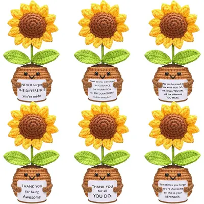 Employee Appreciation Crochat TikTok Shop