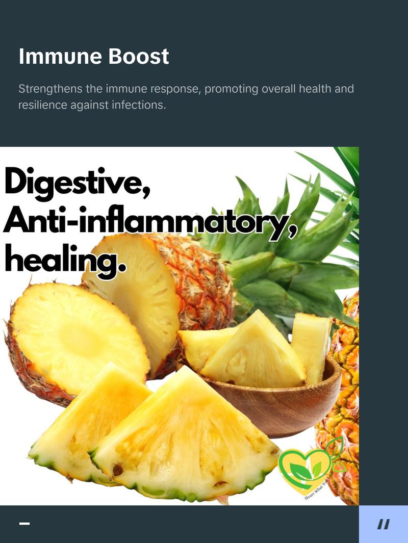 Natural Bromelain Extract Tincture for Digestive Health and Recovery - 2oz - Supplement, Edible Healthcare Fitness