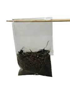 Tierra De Panteon Tierra De Panteon