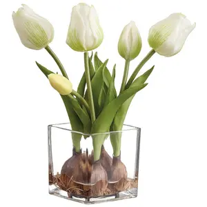 9.05" Tulip With Bulb in Glass Vase Cream
