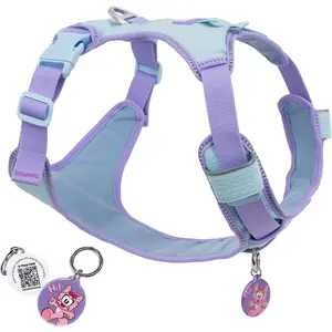 No Pull Dog Harness for Small Dogs & Puppies, Lightweight Escape Proof Adjustable Dog Harness with Pocket, Front & Back Clip, Reflective Soft Vest with ID Tag, for Running Walking, Blue