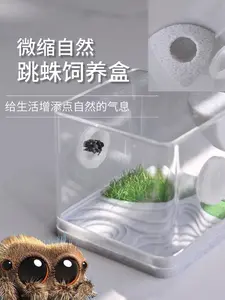 3D Printed Terraced Landscape Spider Enclosure Florida Spider Box with Breeding Habitat Natural Jumping Spider Feeding Port Dual Breathing Holes