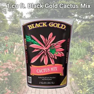 212 MAIN Black Gold Cactus Mix, 1 cu ft Cactus Soil with Drainage Aid, Sun Gro Horticulture 7300122 Garden Supply for Raised Beds