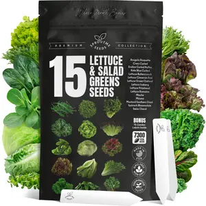 15 Lettuce & Salad Greens Seeds Variety Pack Lettuce Garden Salad Kit with Plant Labels 7300+ Non-GMO Heirloom Arugula Spinach Kale Iceberg Lettuce Seeds for Planting Outdoors Indoors