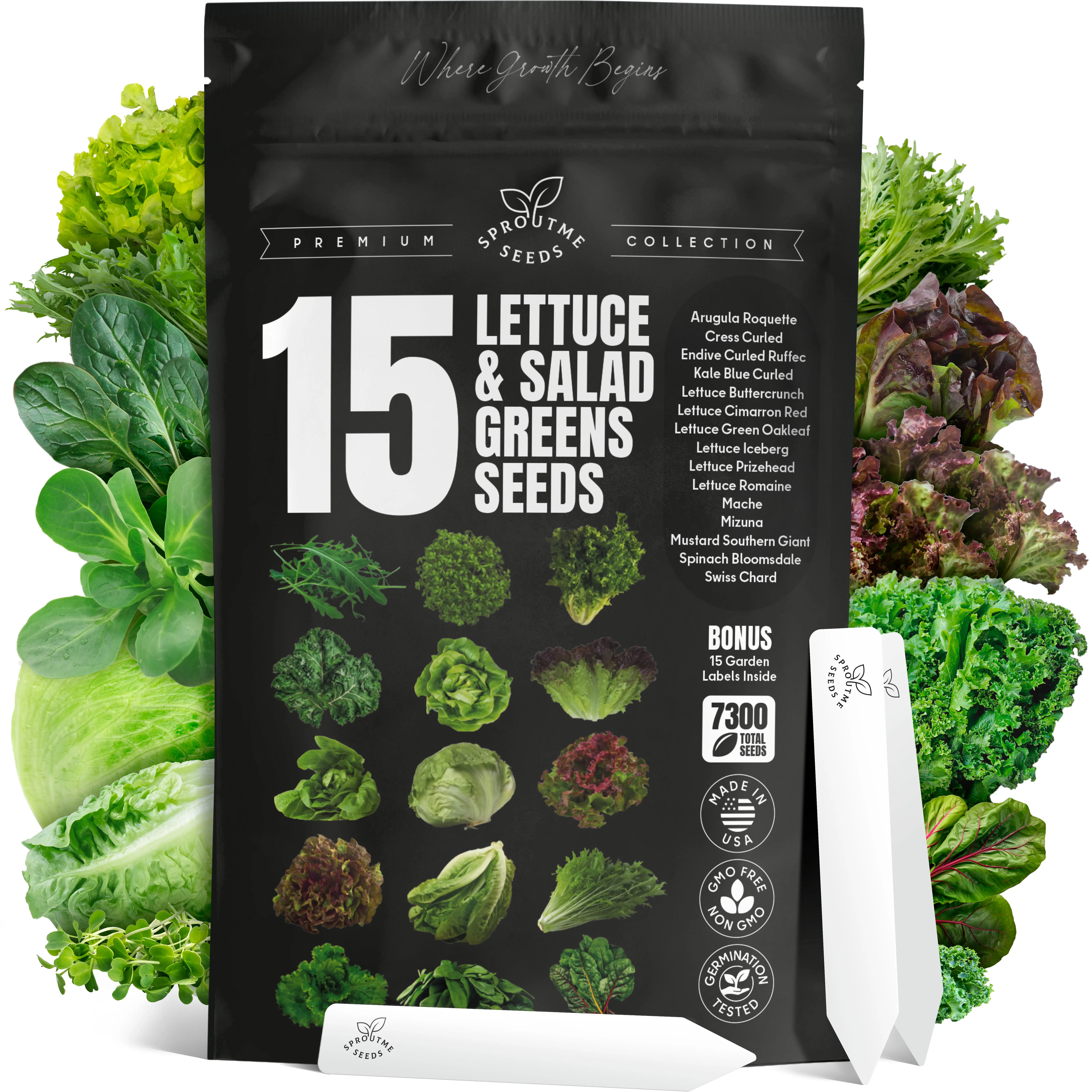 15 Variety Lettuce & Salad Greens Seed Kit – 7300+ Seeds