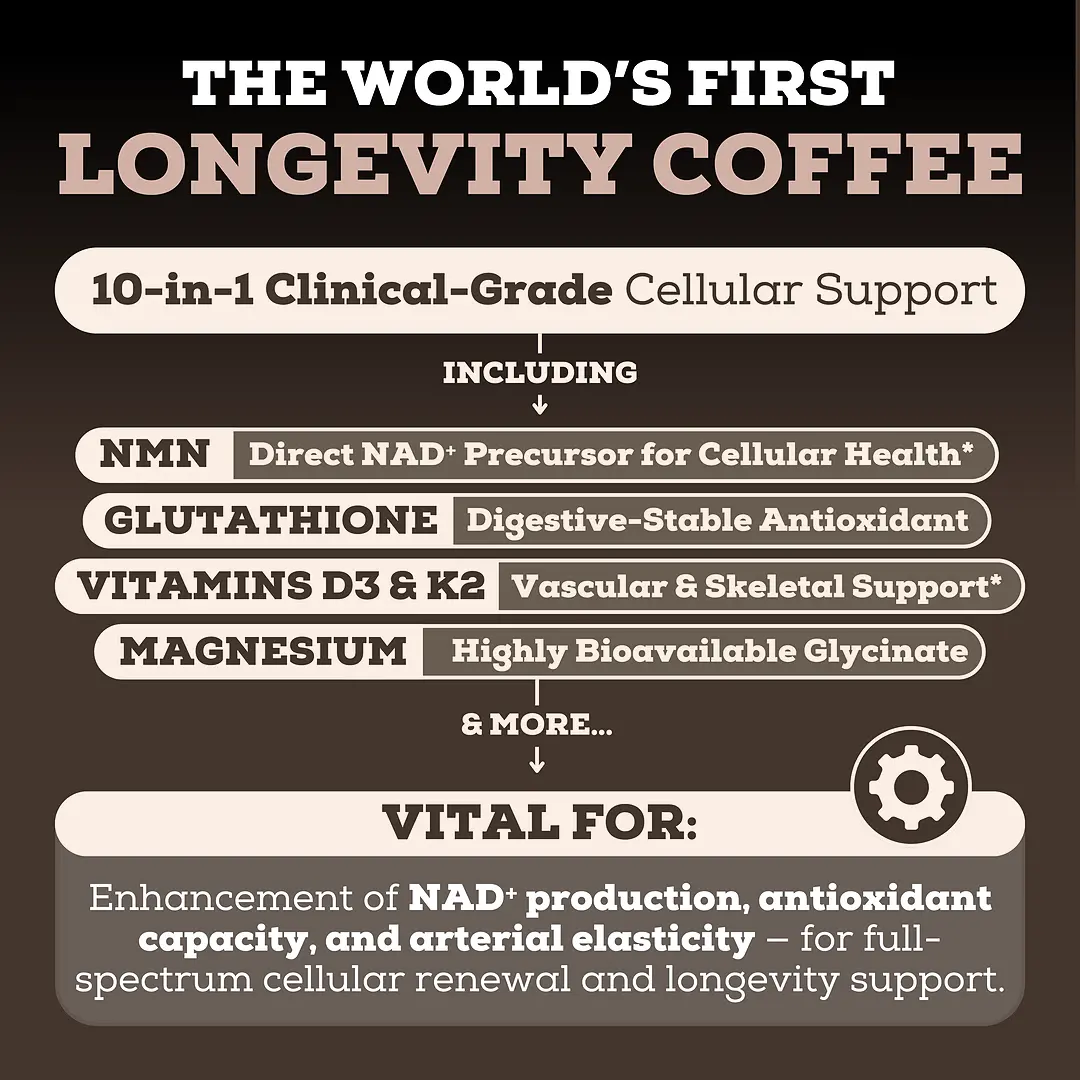 4 Bottles of Longevity Mix Mocha Coffee with NMN, Glutathione, Magnesium Glycinate, TMG, Vitamin D3, C, K2, B12, Cocoa Powder, Instant Coffee | 120 Servings - Gluten - Free Sugar - Free Non GMO - TikTok Shop 4 Bottles of Longevity Mix Mocha Coffee with NMN, Glutathione, Magnesium Glycinate, TMG, Vitamin D3, C, K2, B12, Cocoa Powder, Instant Coffee | 120 Servings - Gluten - Free Sugar - Free Non GMO - TikTok Shop