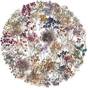 50pcs Retro Dried Gypsophila Transparent Series Stickers, Office Supplies and Notebook Accessory Products, Suitable for Faith-based Designs on Scrapbooks, Diaries, Laptops, Water Bottles, Cars, Etc.