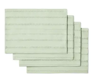 Draper James Leno Weave Woven Placemat 4-Pack Set