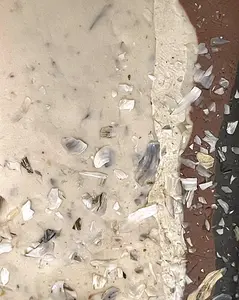 zebra mussel infused clay