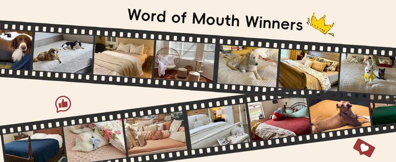 PHF 100% Cotton Weave Waffle Blanket & PHF Truly Velvet Fitted Sheet, Bedding Set for Winter