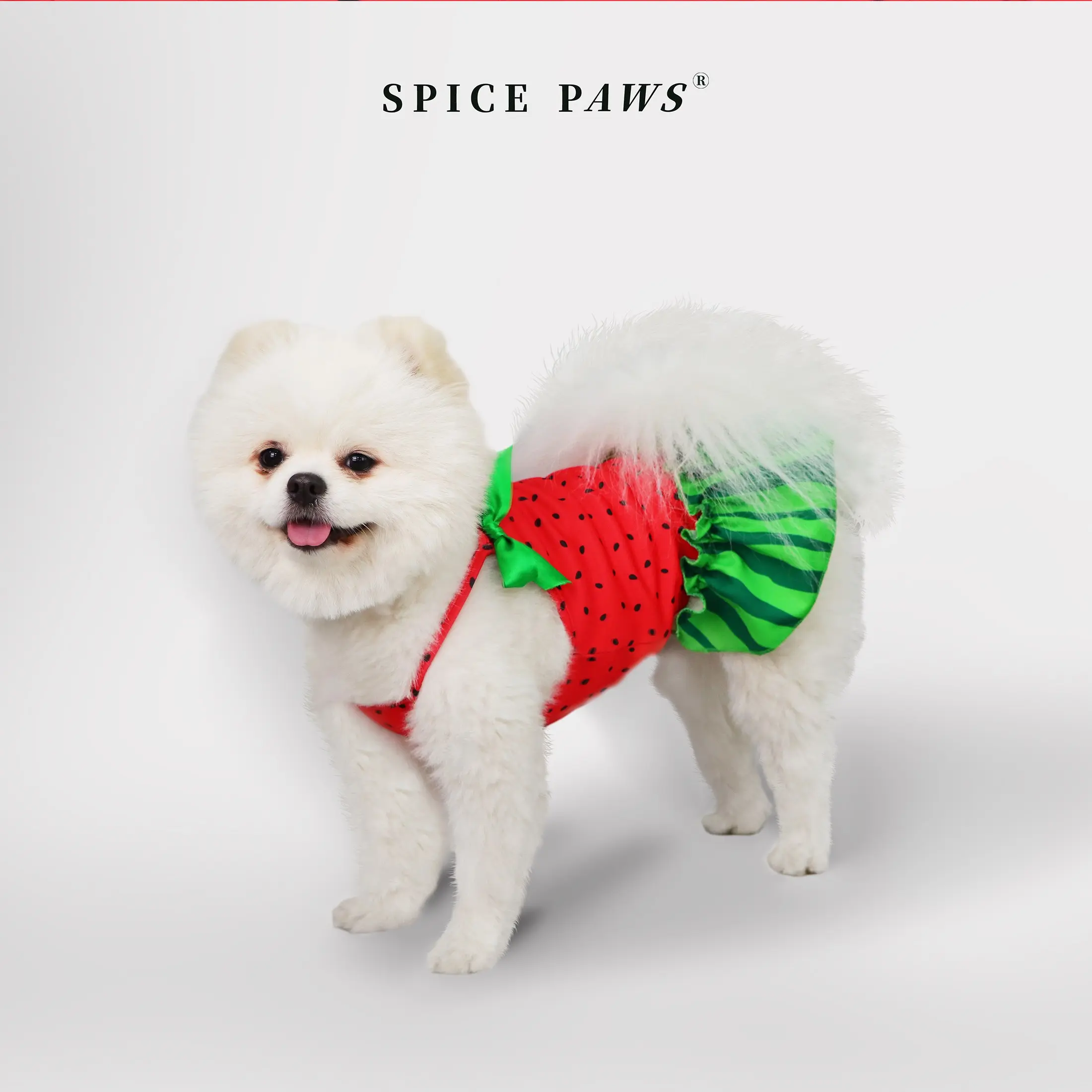 Dog Dress with Bow Summer Clothes Cute Small Dogs Poodle Skirt Suspender  Watermelon Pattern Pet Clothing Puppy Dresses Cat Costumes Husky Clothes -  TikTok Shop