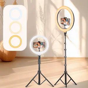 10" Professional Selife Video Light Vlogging Kit with 63" Telescopic Tripod, Tri-Color LED Panel 2700K-5600K Ideal for Studio-Quality Fill Lighting - Perfect for Makeup Artists TikTok Creators Live Streaming, Video Recording Portrait Photography#new years