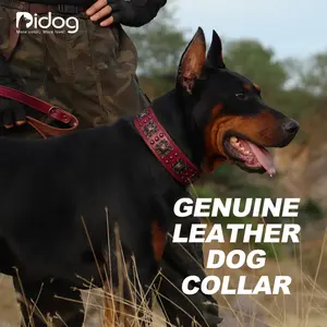 Didog Upgrade Padded Leather Dog Collar For Larger Dogs, 2 inch Wide  Heavy-duty Genuine Leather Vintage Dog Collars with Strong Studded Rivet & Metal Buckle, Adjustable  Collar for Pit Bull Doberman