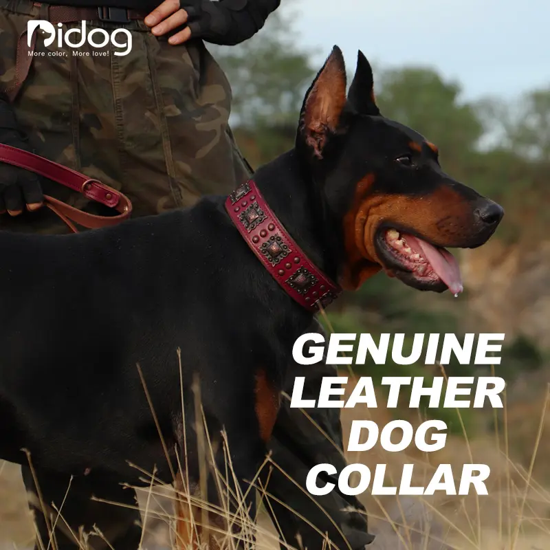 Didog Upgrade Padded Leather Dog Collar For Larger Dogs, 2 inch Wide  Heavy-duty Genuine Leather Vintage Dog Collars with Strong Studded Rivet & Metal Buckle, Adjustable  Collar for Pit Bull Doberman