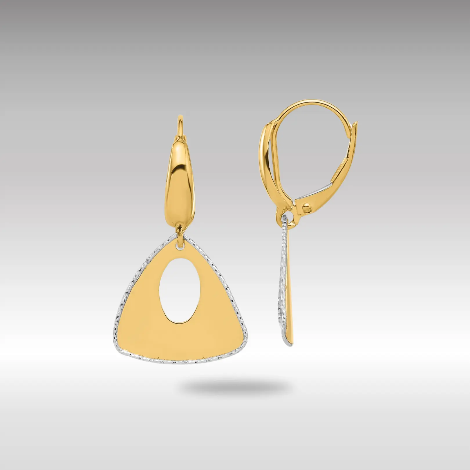 14K Gold Two-tone Pol and Dia-cut Triangle Dangle Leverback Earrings - Model LE2370