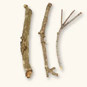 Natural Oak Twigs (20c) by Betta Botanicals for Blackwater Aquariums & Shrimp Tanks