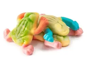 Rainforest Frogs Gummy Candy | 16 oz (1 LB) Bag of Gummies | Soft & Chewy | Bulk Candy