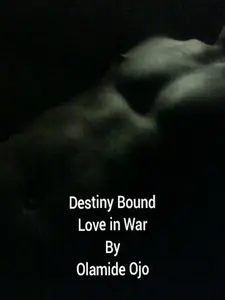 Destiny Bound: Love in War by Olamide Ojo Romantic War Fiction Book with Compelling Narrative and Unique Love and War Themes