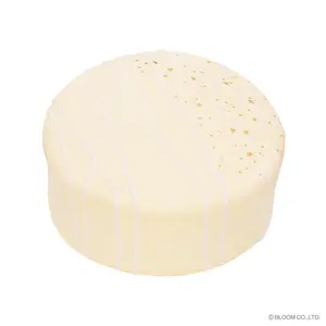 iBloom Squishy Sachertorte Kawaii Soft Scented Slow Rising Stress Relief