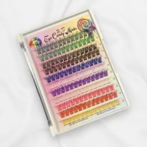 Rainbow Lash Clusters Eyelashes Extensions