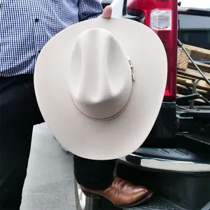 Stetson 6x Skyline Silverbelly