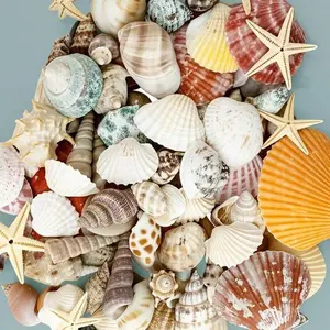 100+ Natural Ocean Shells & Starfish Assortment, Mixed Sizes Decorative Beach Shells for Aquarium Decor, Vase Filler, DIY Craft Supplies, Wedding Party Decorations, Candle Making Accessories