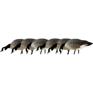 Avian X AXP Lessers : Feeder Pack of 6 Decoys