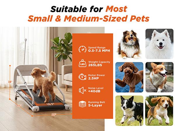 Dog Treadmill, 2-in-1 Pet Treadmill for Dogs, 2.5HP Quiet Motor Dog Running Machine with Remote, Indoor Dog Exercise Wheel for Small Medium Large Dogs, Dog Fitness Equipment for Home Use