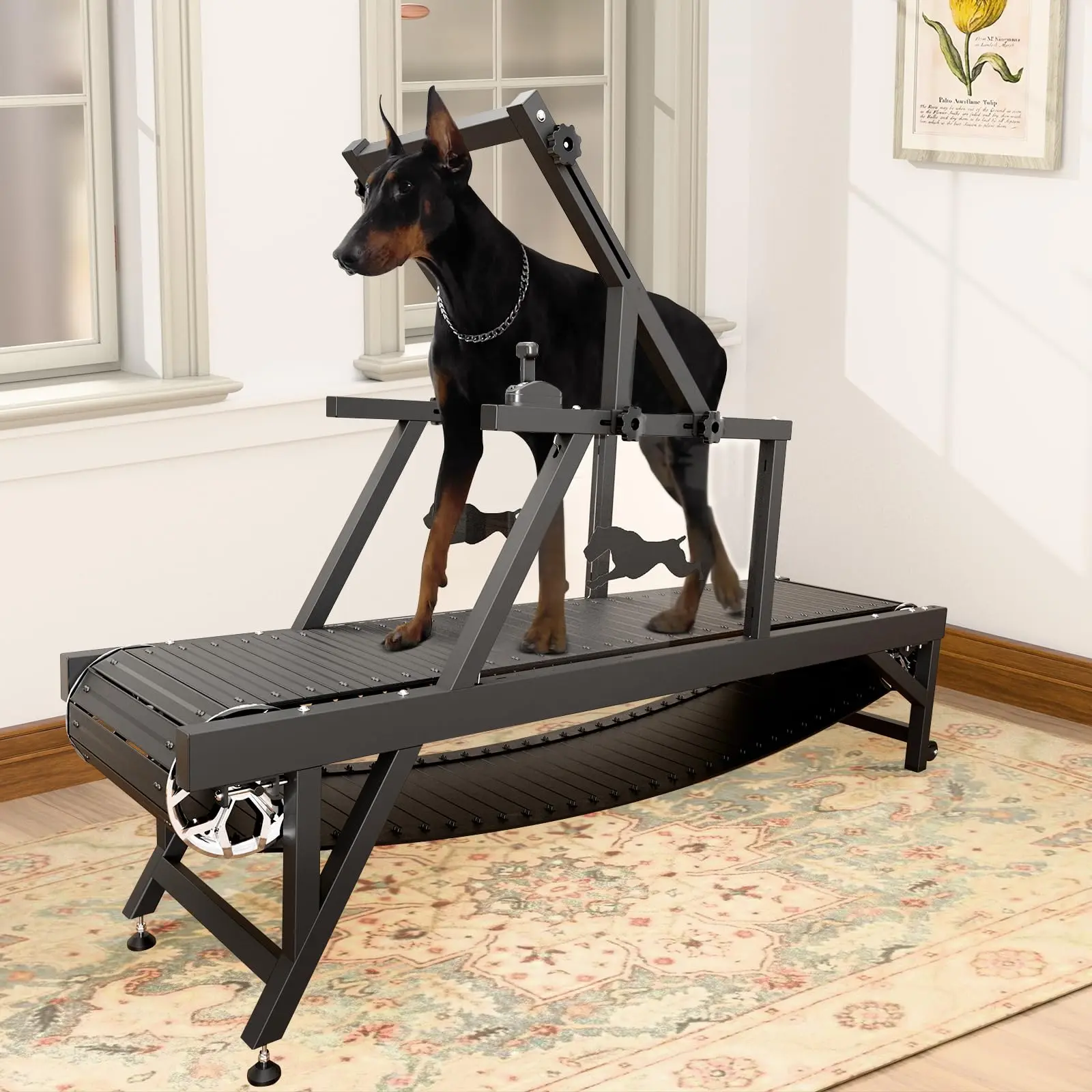 Dog Treadmill, HINXIETIE Dog Slat Mill for Large/Medium Dogs with