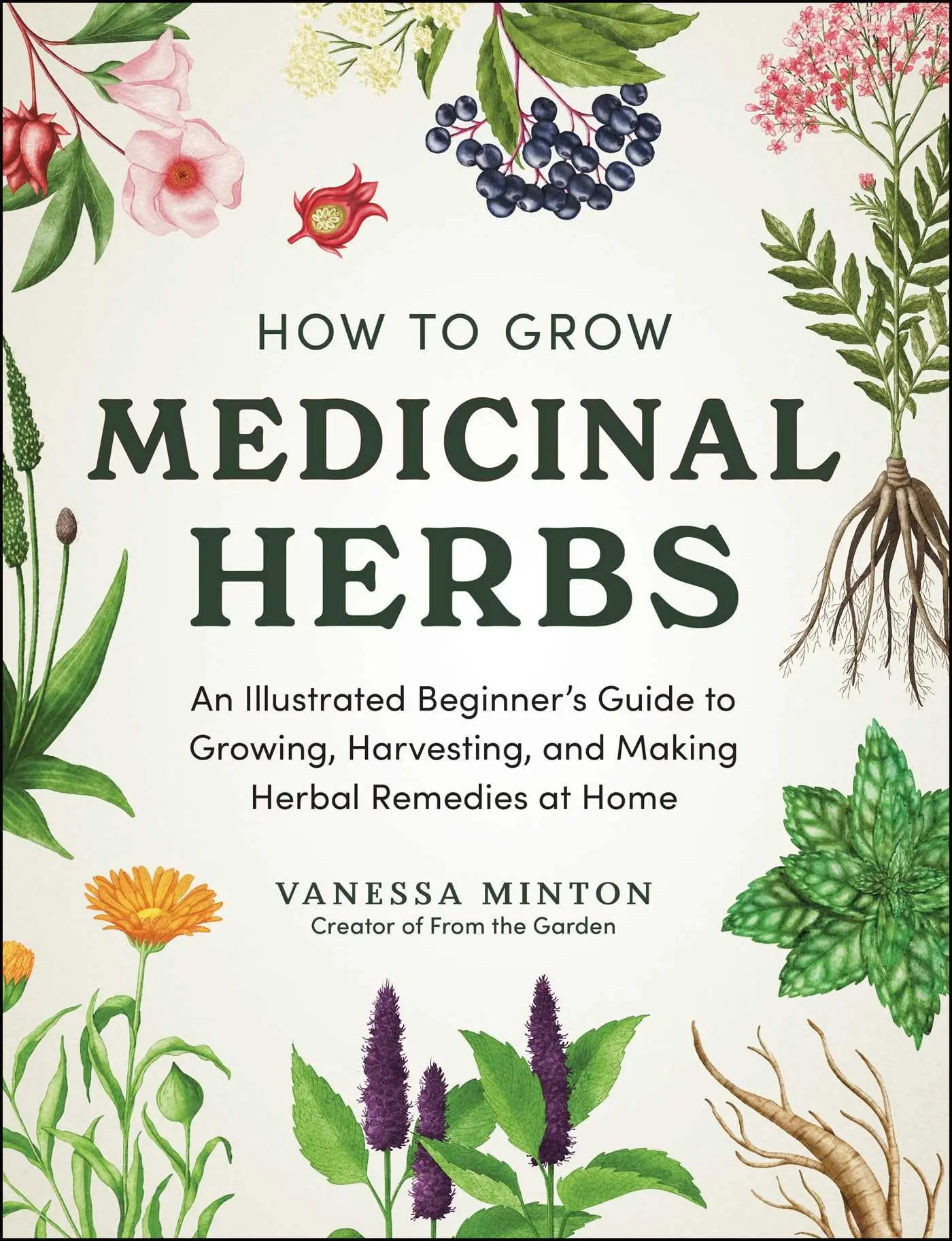 How to Grow Medicinal Herbs: An Illustrated Beginner's Guide to Growing, Harvesting, and Making Herbal Remedies at Home -- Vanessa Minton - Hardcover
