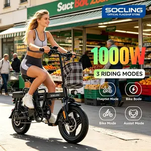 14 Inch Adult Folding Electric Bicycle 1000W Motor 30MPH High Speed 40 Miles Long Range Dual Seat Portable Lightweight E-Bike for Urban Commuting and Leisure Travel