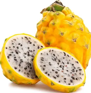 Yellow Dragon Fruit Plant Live for Planting, Selenicereus Megalanthus Plant for Garden 3 to 6 Inch Tall
