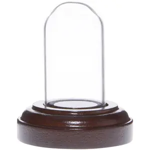Plymor Miniature 1" x 2" Mini Glass Display Dome TINY Cloche