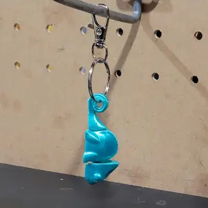 Chameleon Keychain