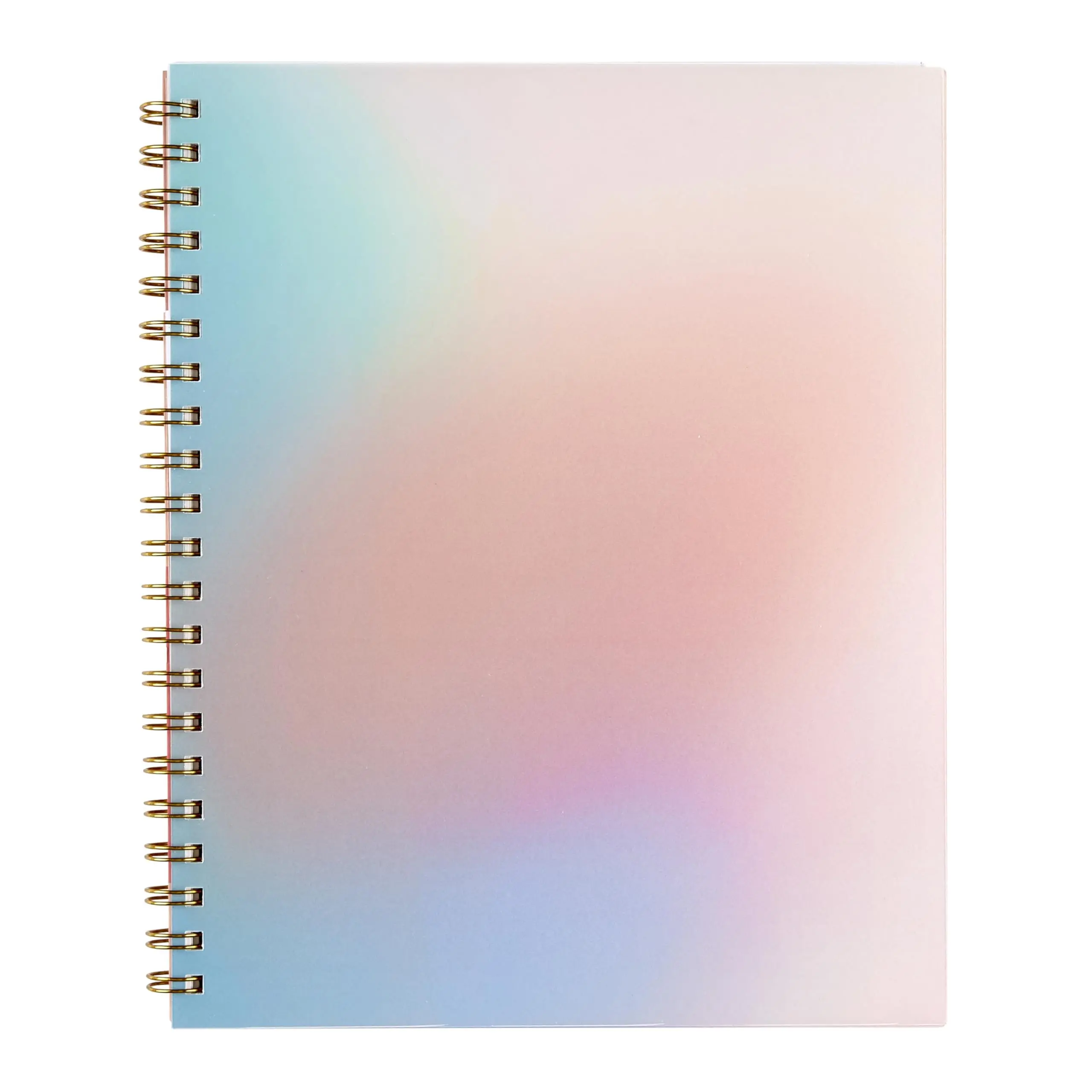 Erin Condren Large Undated Daily Planner - Neutral Colorblends Cover, 12-Month Flexible Dates Monthly Planner, Gold Wire Binding, Customizable Calendar, Included Sticker Sheets