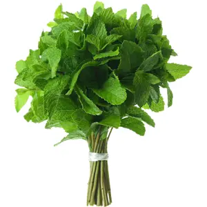 Fresh Mint (Pudina) Leaves - 1.5-2oz - Rani Brand Authentic Indian Products