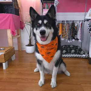 Puppy Pals Pet Shop - Dog bandana, halloween bandana, pet bandana, fall bandana, over the collar bandana, reversible bandana, cat bandana