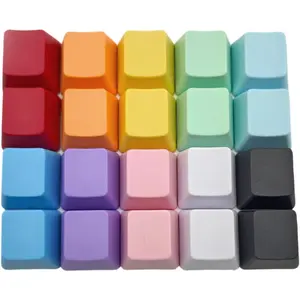 OEM Profile Blank Keycaps PBT Rainbow Mixed Colors 1U R4 Keycap for MX switches Mechanical Keyboard (Mixed Colors, 20 count)