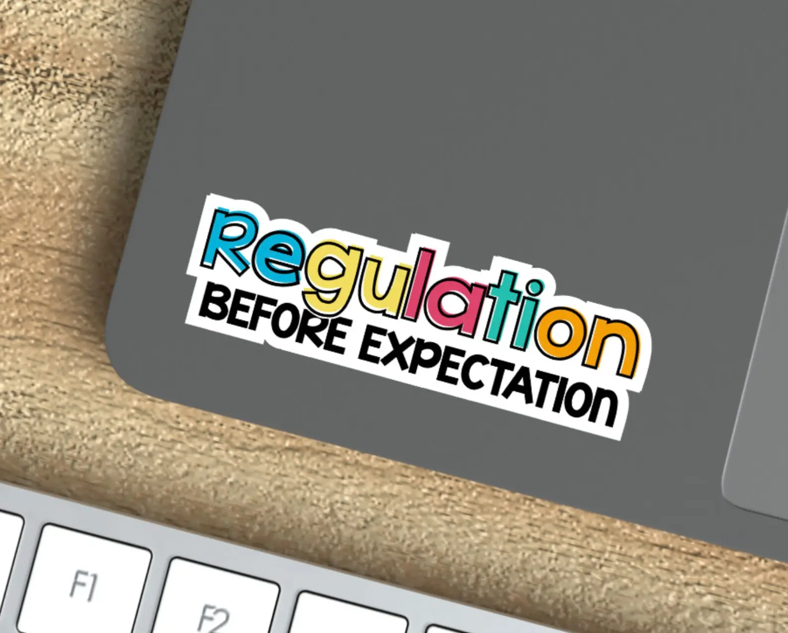 Regulation Before Expectation Sticker - Autism Disability Special Needs Mom Special Education Teacher Gift aba Therapist Special Ed