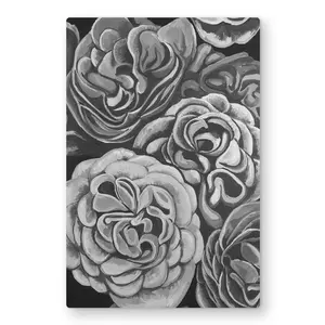 212 MAIN Grayscale Dahlias Floral Nature Photo Aluminium Metal Print Wall Art - 24x36 in Office White Frame, Lightweight Artistic Minimalist Design Decor, Thoughtful Home Decor Gift