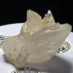 Clear Quartz Cluster Raw Specimen 648 grams