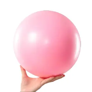Pilates Yoga Ball,9.5-10In,Explosion-proof & Anti Slip Fitness Ball,Core Stability Exercise Ball,Home Exercise Equipment, Fitness Tool,Home Gym Training & Indoor Balance Workout