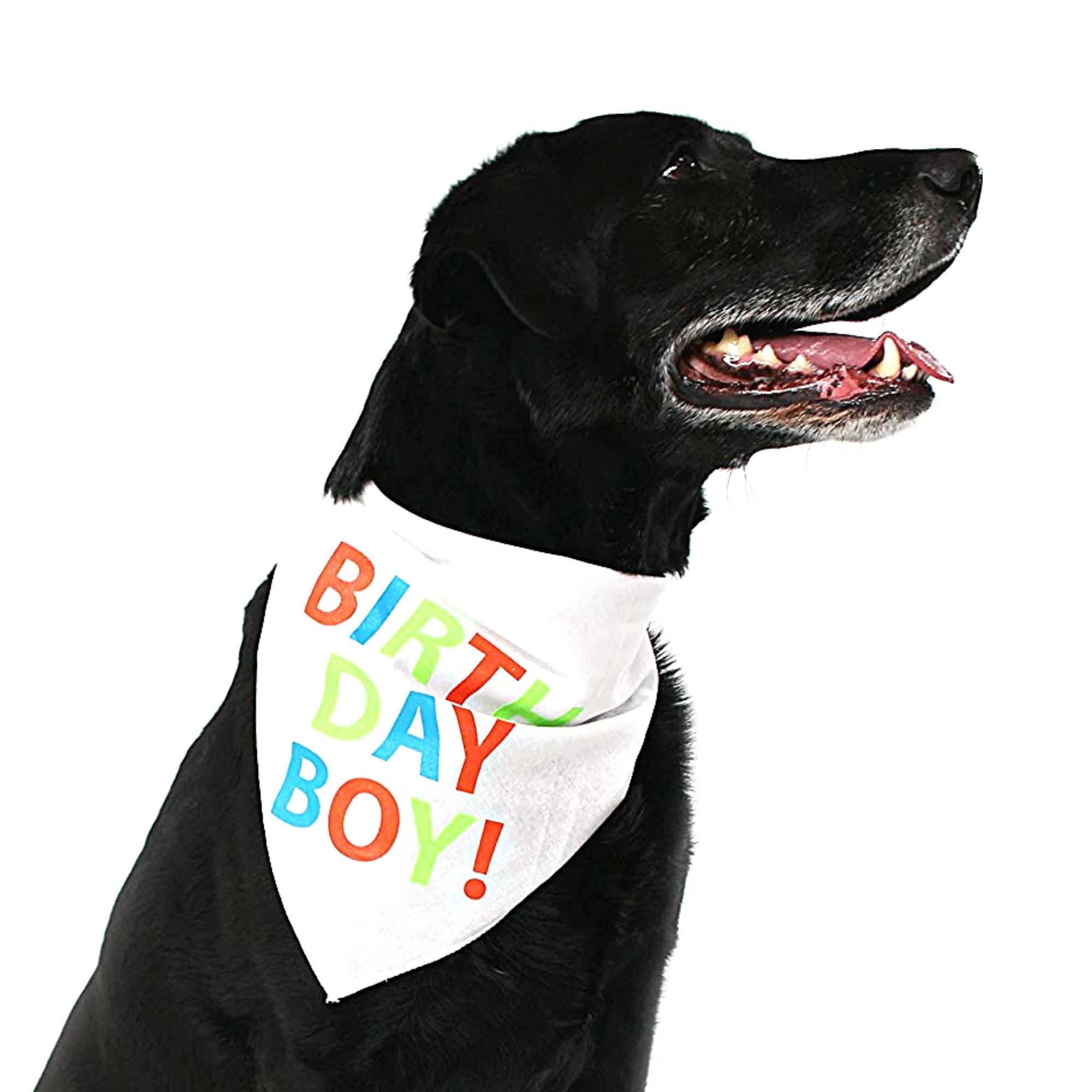 Midlee Birthday Boy Dog Bandana Large Adjustable Tie-On Pet Accessory for Dogs Cats Fun Stylish Party Print Fits Up to 20" Neckline