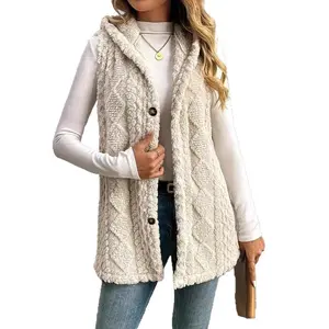 2025 New Style Popular Solid Color Double-Faced Fleece Hooded Button Cardigan Women's Leisure Autumn and Winter Vest